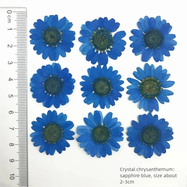 100 Stück gefärbte getrocknete – Dried Flower Bookmark Bewertung und Preis
