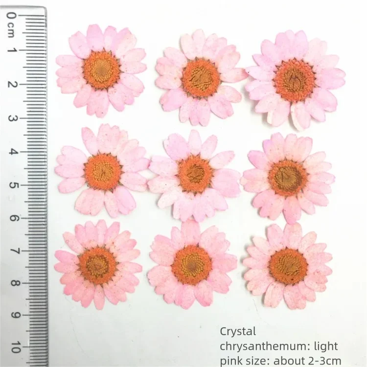100 Stück gefärbte getrocknete – Dried Flower Bookmark Bewertung und Preis