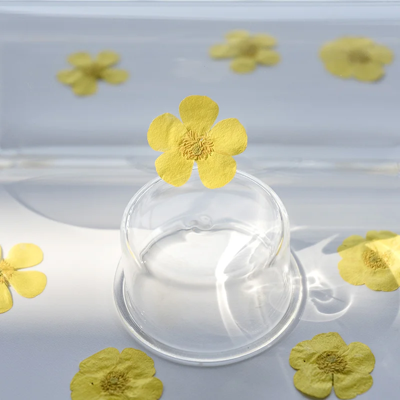 100 Stück Getrocknete Ranunkel – Dried Flower Bookmark Bewertung und Preis